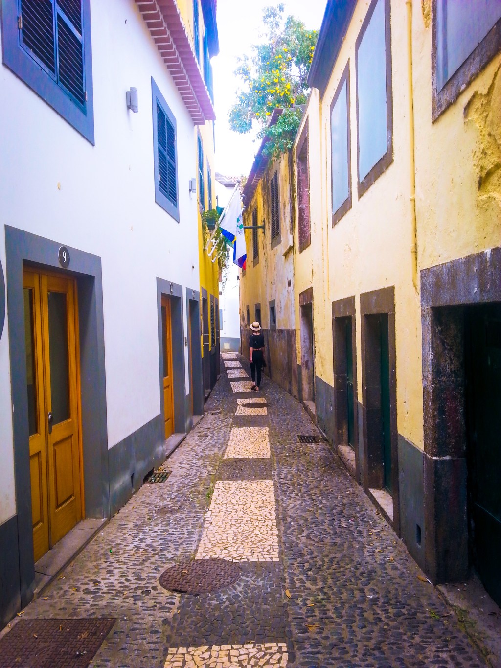 a stone-paved road...